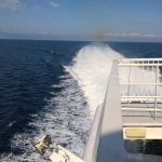 fior di levante2