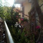 λασπη ξενοδοχειο αγια ευφημια35