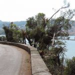 ΠΕΥΚΑ ΑΛΣΟΣ ΠΕΤΡΙΑ21