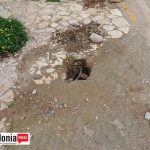 ΑΣΣΟΣ ΔΕΗ4