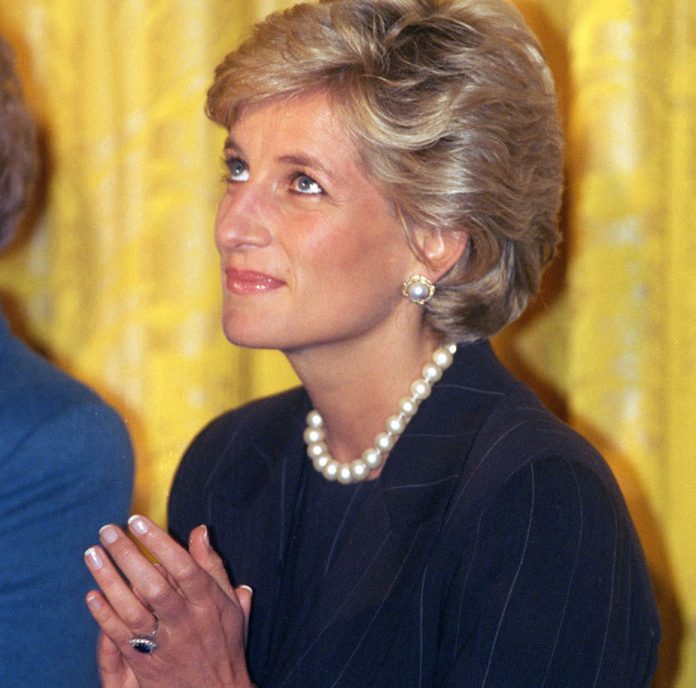 The Princess Of Wales Visits Washington